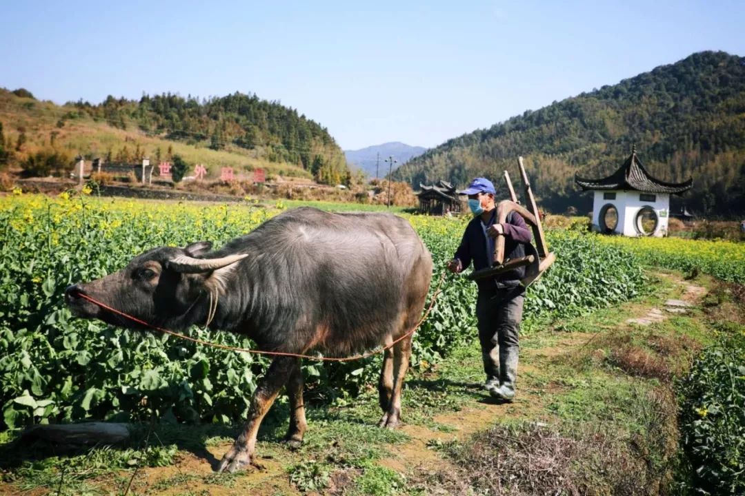 润物无声好雨时节丨九州共春水初生春光盼勇士归来