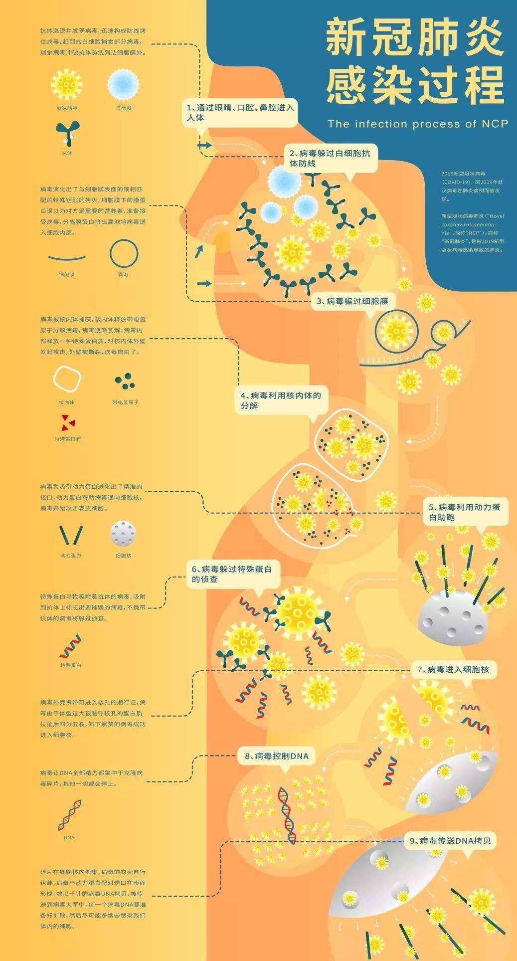 分类,传播过程等方面的分析进行了可视化设计,以图解的方式清晰易懂地