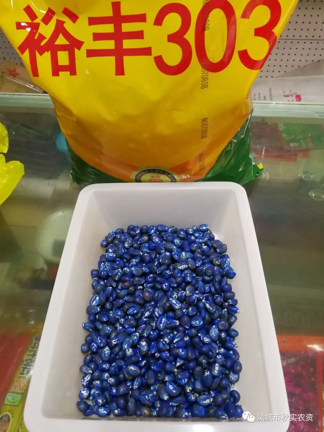 战疫情保春耕裕丰303品种影像一出苗篇