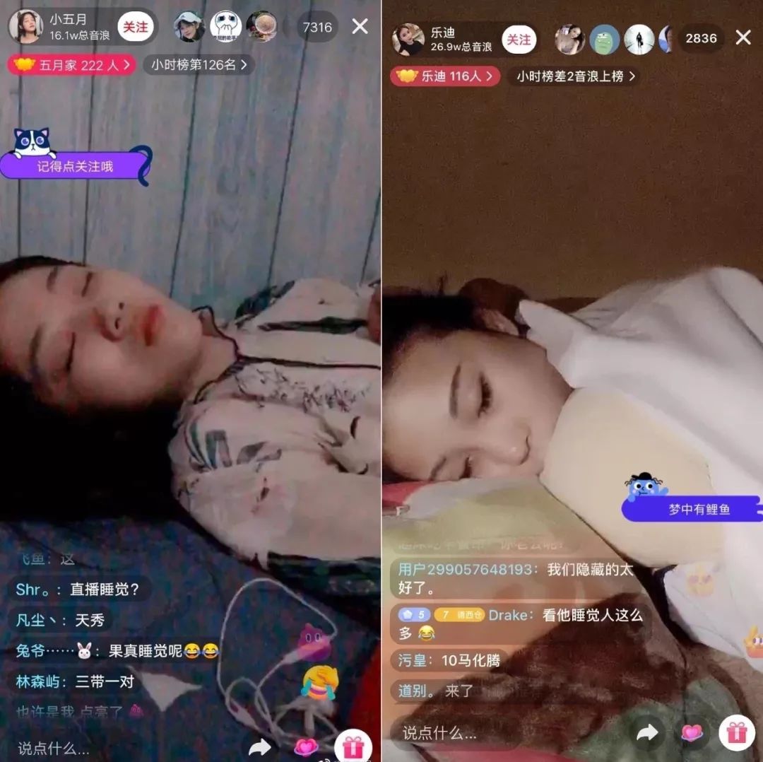 除了人睡觉直播有人看,猫睡觉直播也创下了记录.