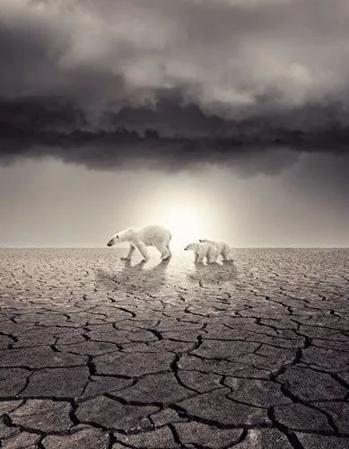 千亿蝗虫袭击联合国向全球发出预警人类正在为不尊重自然付出沉重代价