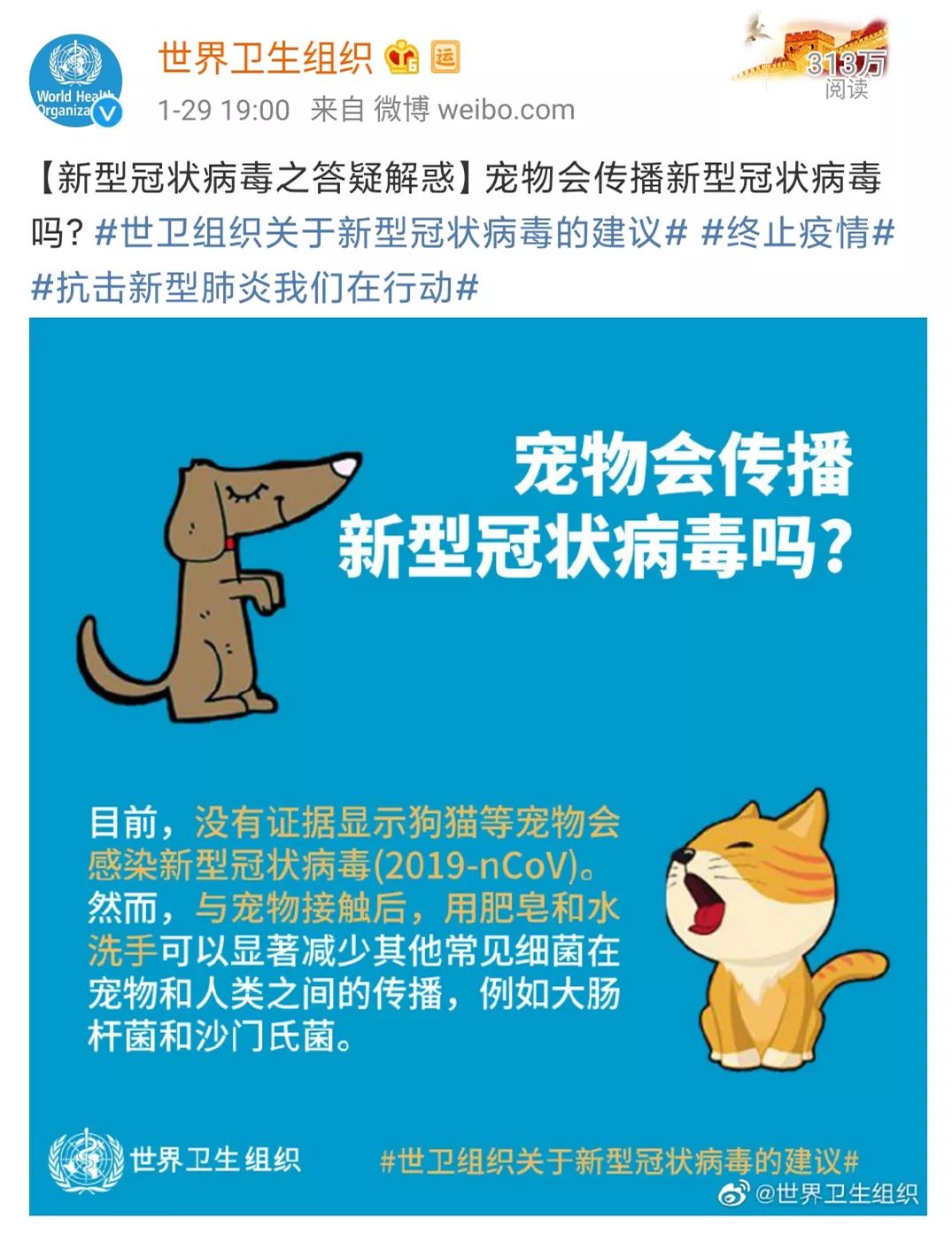 家裡的貓狗會傳染新冠狀病毒嗎