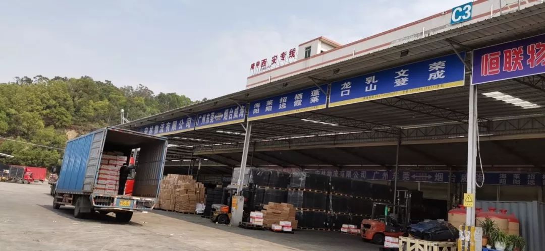 广州货运代理行业的最新发展动态及趋势洞察