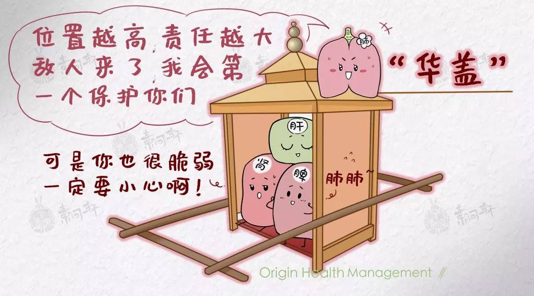 轿子的那个顶盖在中医看来,肺为华盖这就得从肺的生理机能和生理特