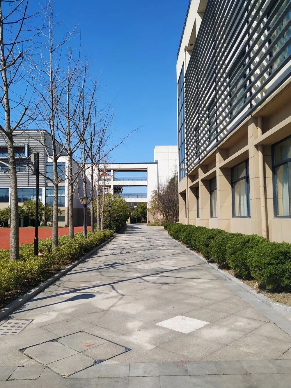 长河小学616161长河中学616161缤纷幼儿园616161