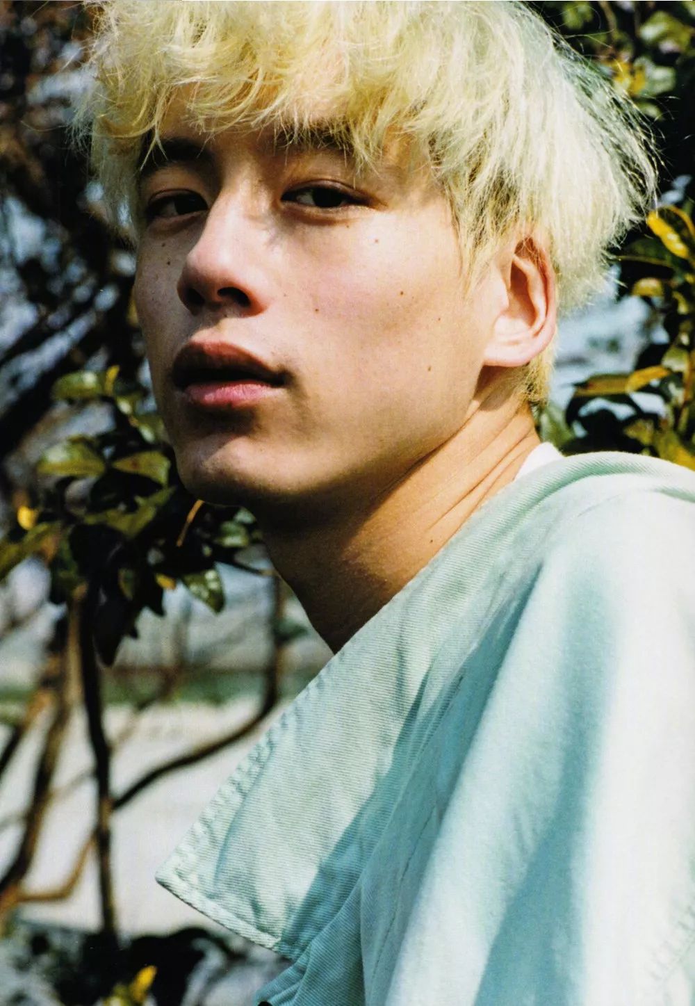 坂口健太郎你的心动春日男孩又来啦
