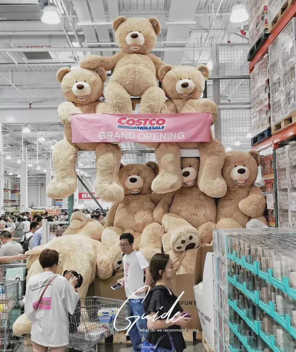 开市客内地第二家,同样也是浦东首家门店将落户浦东康桥占地超15000