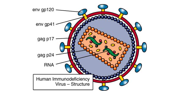 是不是酒精浓度越高越好,还有几种常见消毒手段?