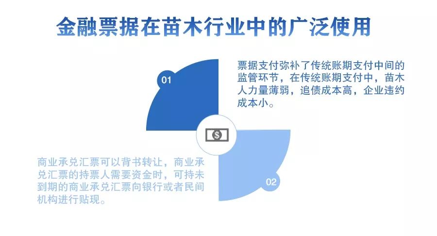 金融票据已经成为苗木产业的主要支付方式一