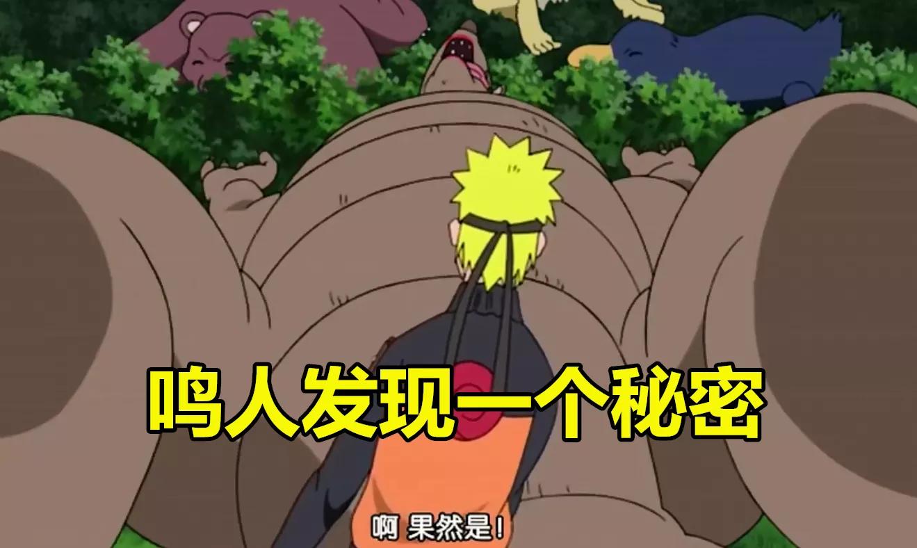 药师兜将云隐巨龟"翻身"后,鸣人发现一秘密,大和见