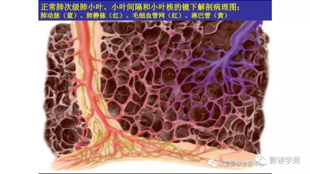 汇总新型冠状病毒肺炎covid19病例解析