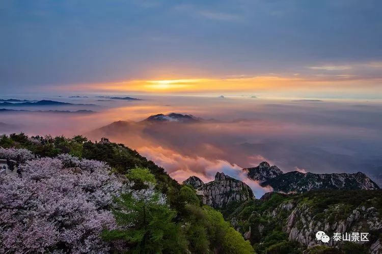 夜色中登高望遠,極目遠處的泰城,已是夜色闌珊,萬家燈火,登泰山而不觀