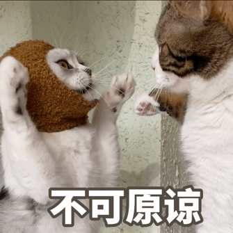 不可原谅给老娘死