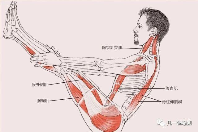 双腿很有力量,为什么在瑜伽船式中双腿还是抖个不停?_肌肉