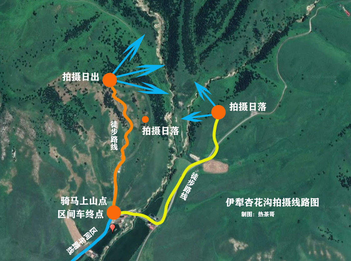吐尔根杏花沟拍摄机位图4月的那拉提草原上野百合盛开,此花又名顶冰花