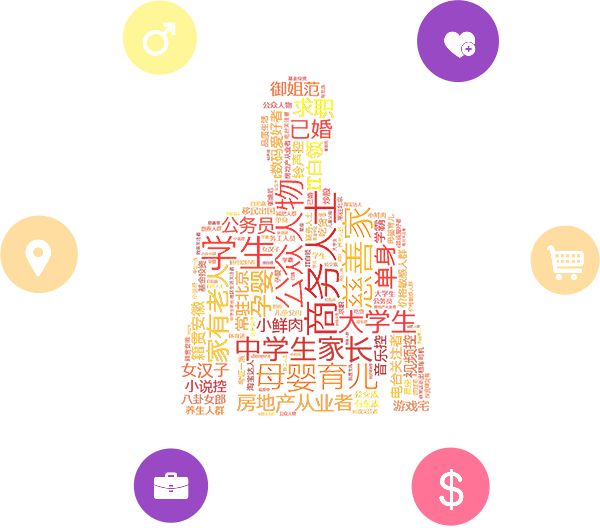 数据可视化:从复杂到清晰的桥梁