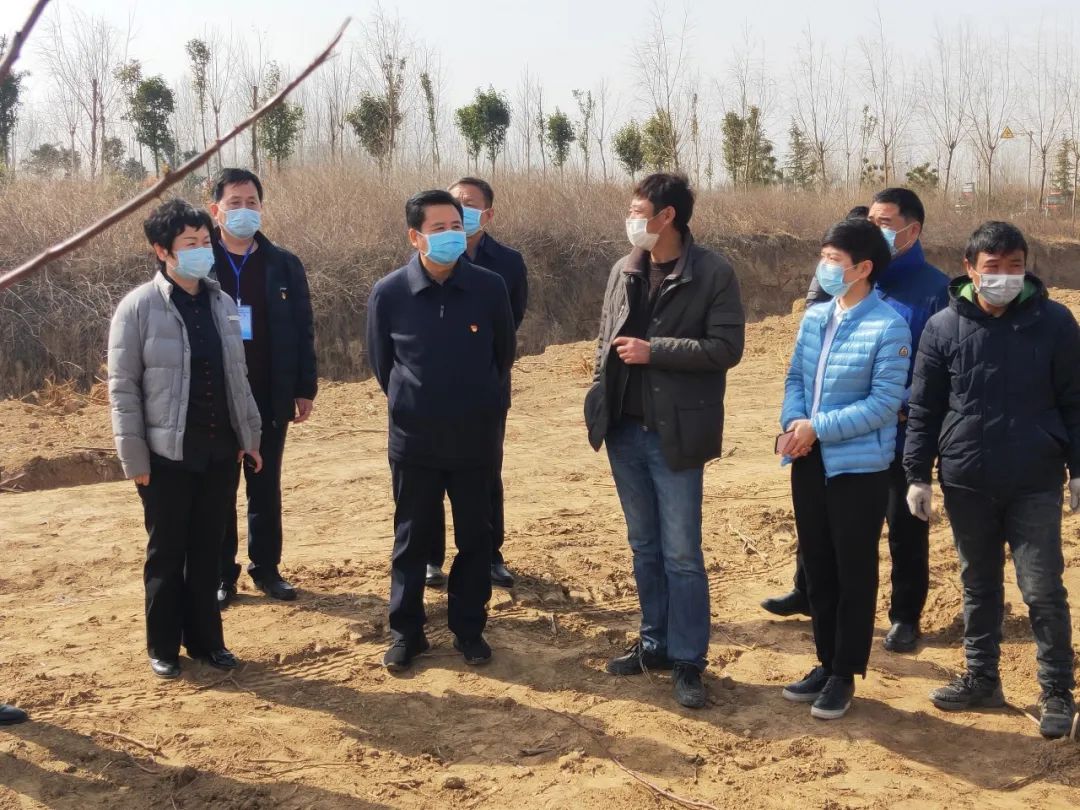 华龙区区委书记刘洪浩调研国土绿化工作