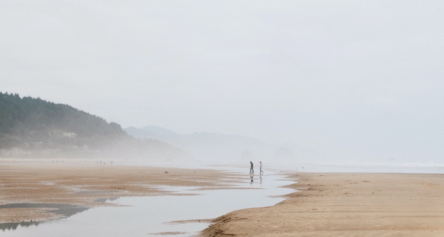 西门子后飞利浦也动手清仓家电：或是中国企业加码小电黄金点-家电圈官网