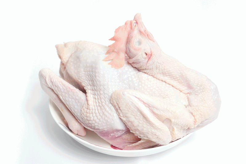 老板很想哭广东韶关喂五谷杂粮的纯土鸡滞销新鲜宰好送到你家