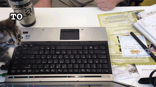 500_281gif 动态图 动图