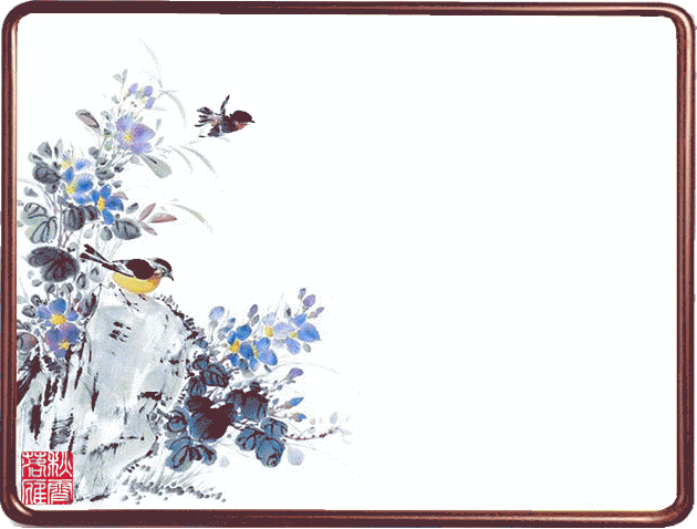 花鸟动态美图欣赏珍藏版