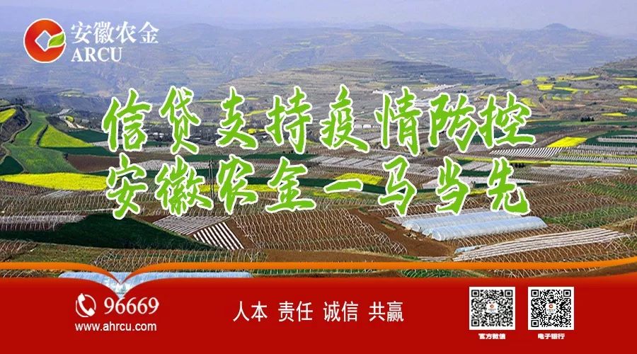 农金战疫安徽省联社加大疫情期间信贷投放为实体经济发展保驾护航