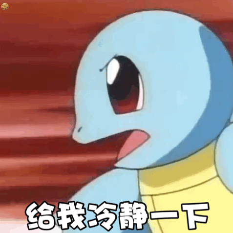 宠龟出眠如何确定注意事项都有哪些