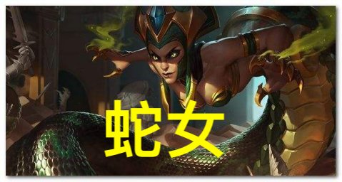 蛇女是莎莉的招牌英雄,上图中一波六连胜也是使得他的分数冲入国服第