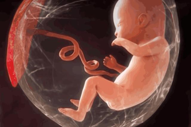 当脐带在羊水中漂浮的之后,准妈妈的每一次翻身都会让孩子和脐带动一