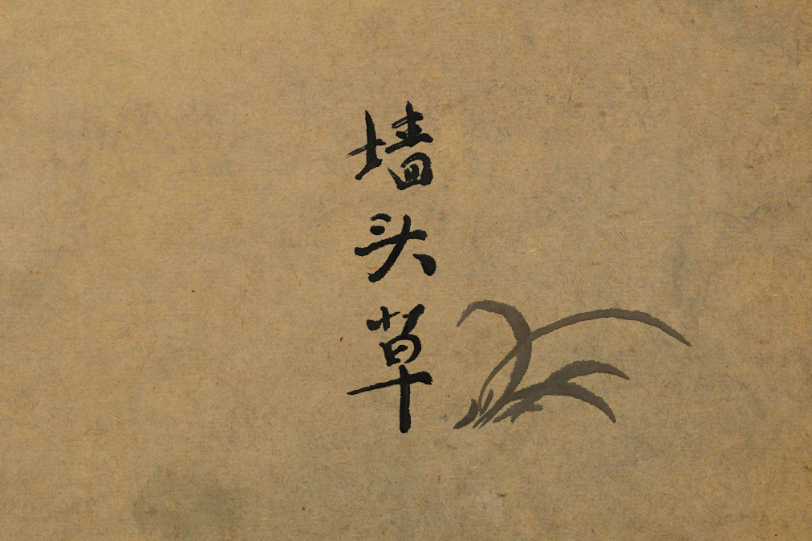 期货实用墙头草指标,你会用吗?