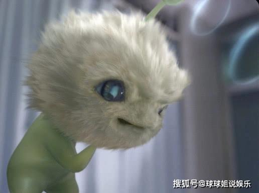 原创最可爱的四位萌宠,胡巴火了,糖宝火了,七仔火了,她渐渐被遗忘了