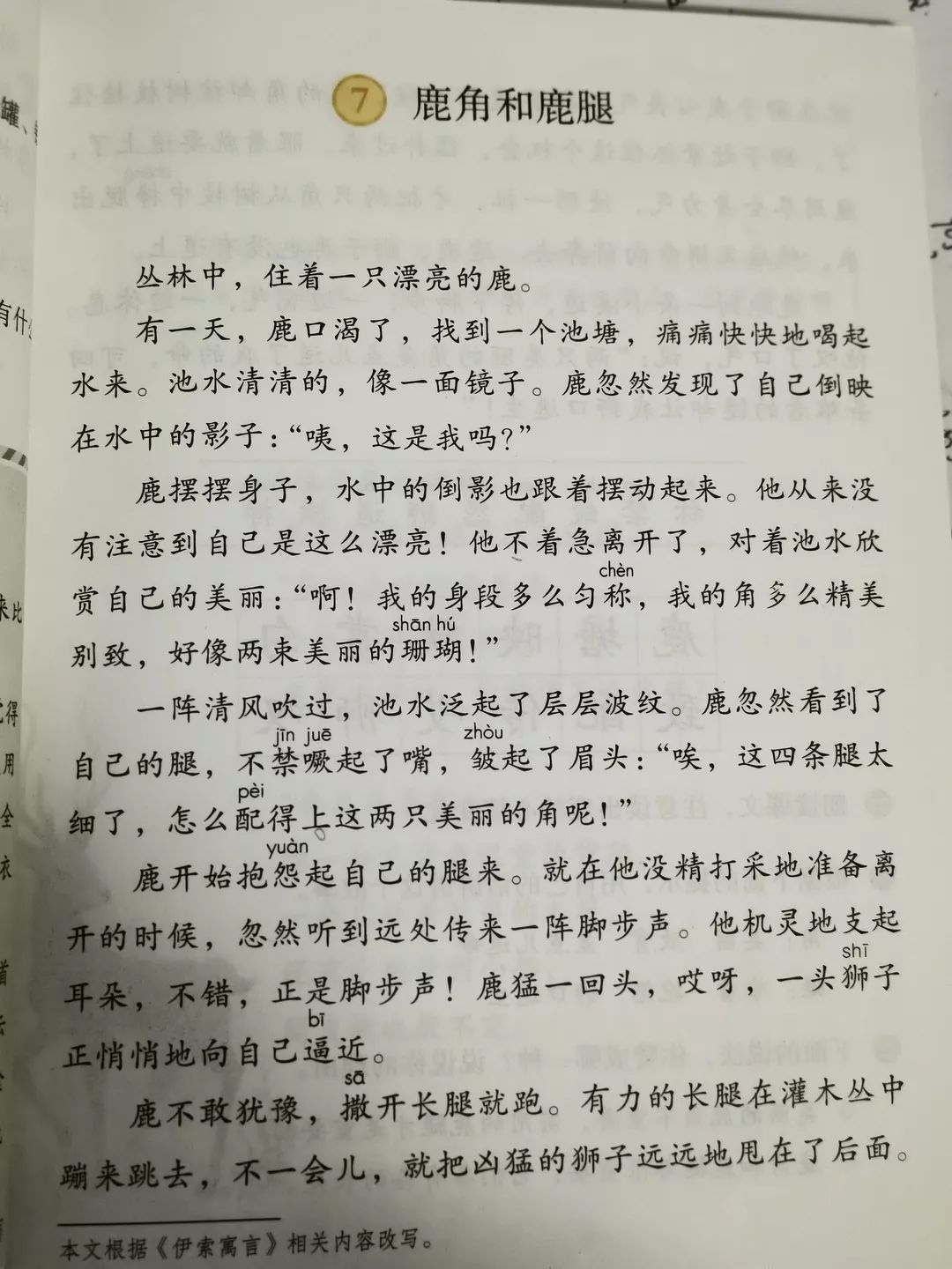 鹿角和鹿腿课文图片