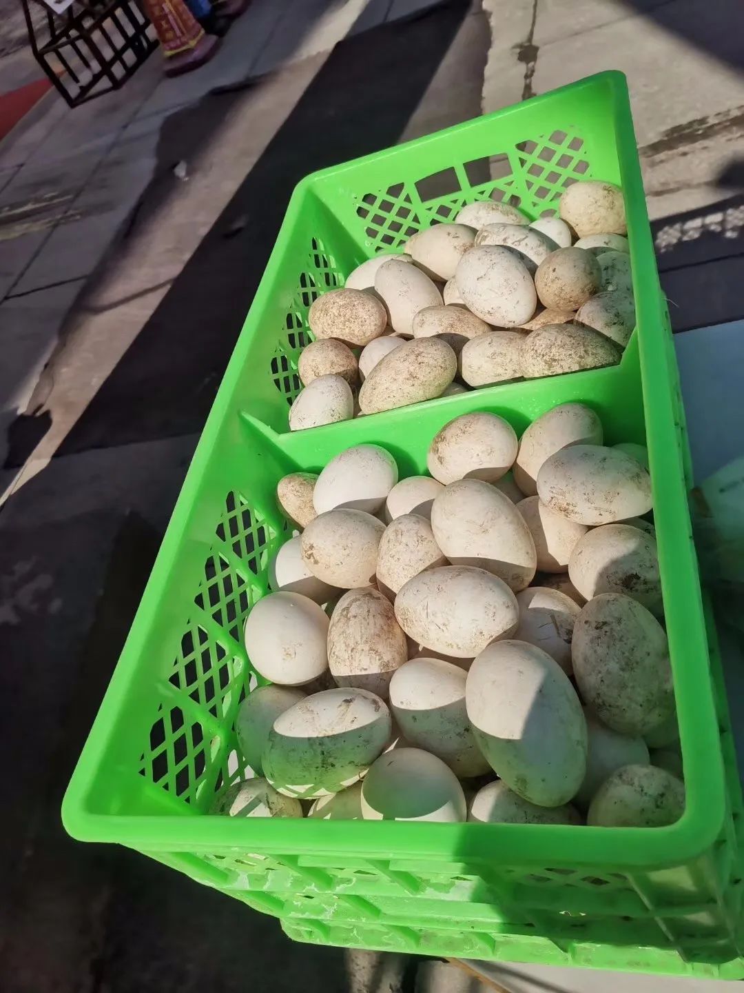 宝坻自家大鹅蛋说要几个