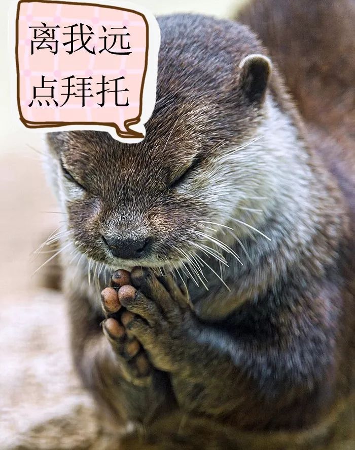 明知故犯!两男子非法收购,出售珍贵,濒危野生动物获刑!