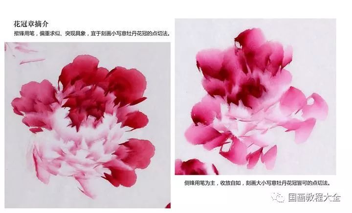 教你如何画彩墨牡丹绝对的干货你值得收藏学习