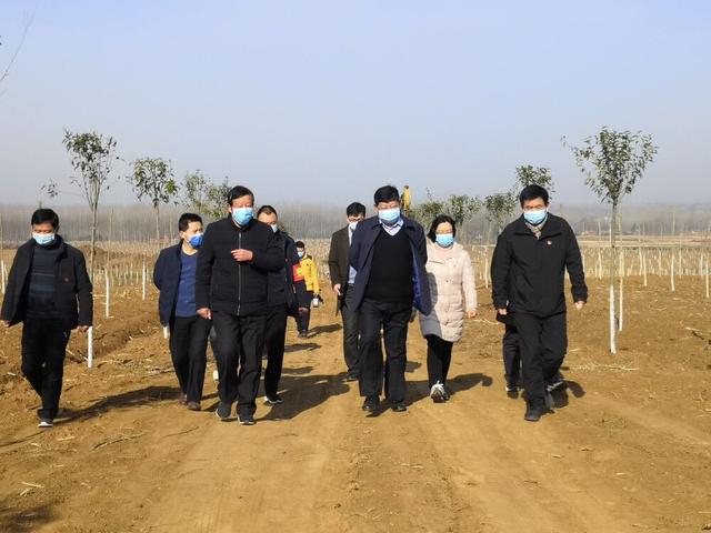 2月20日,桐柏县委副书记,县长贾松啸深入乡镇村组督导国储林建设,造林