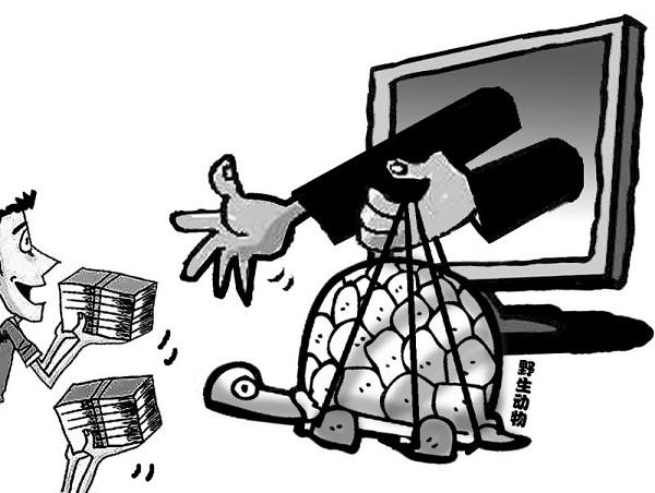 宠物小店内有乾坤暗中交易买卖野生动物