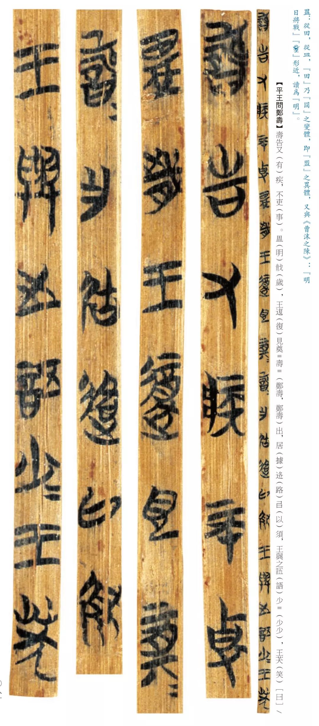 疫情期间有我陪伴书画社线上展览第二期楚简②上博简