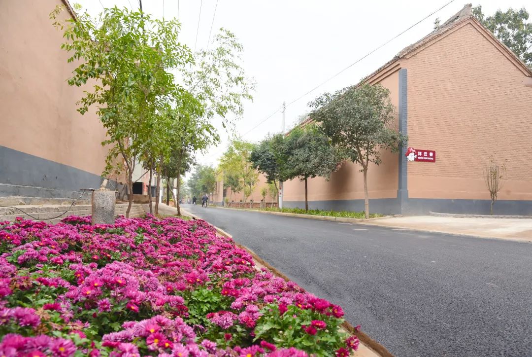 快看有没有你的村!_绿化