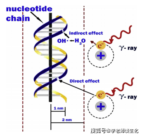 造成dna损伤的因素_mutagen