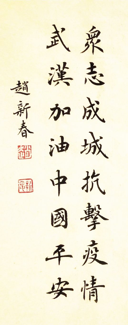 赵新春书法 |《翰墨传大爱·众志抗疫情》书画作品网络展