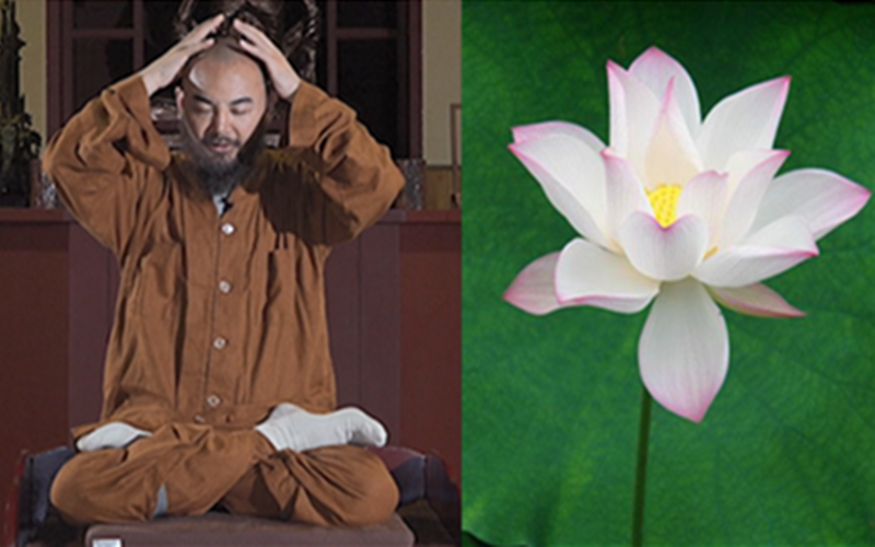 观想头顶就是一朵开放的莲花,整个脖子,脊柱,身体是一个莲花杆,身体