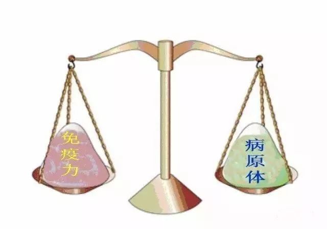 图4 身体的免疫力与致病因子保持平衡四.