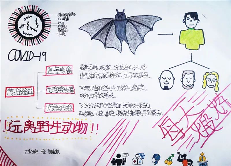 《小小蝙蝠带来的巨大麻烦 》六(6)班 刘嘉毅六(4)班 高榕《武汉加油!