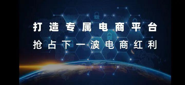 社交电商的下半场每个人都能打造属于自己的社区小电商系统