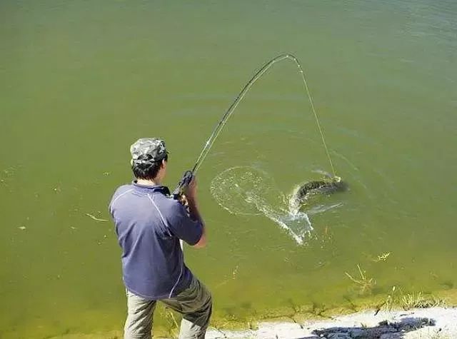 掌握这些溜鱼技巧就再也不用为跑鱼而烦恼了