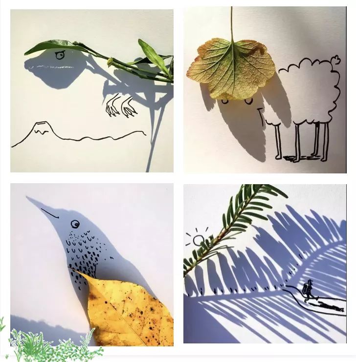 玩转杯中影「一场光和影子