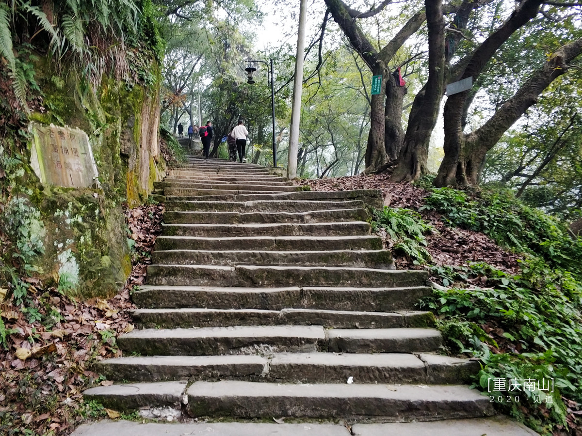 重庆登山步道图片