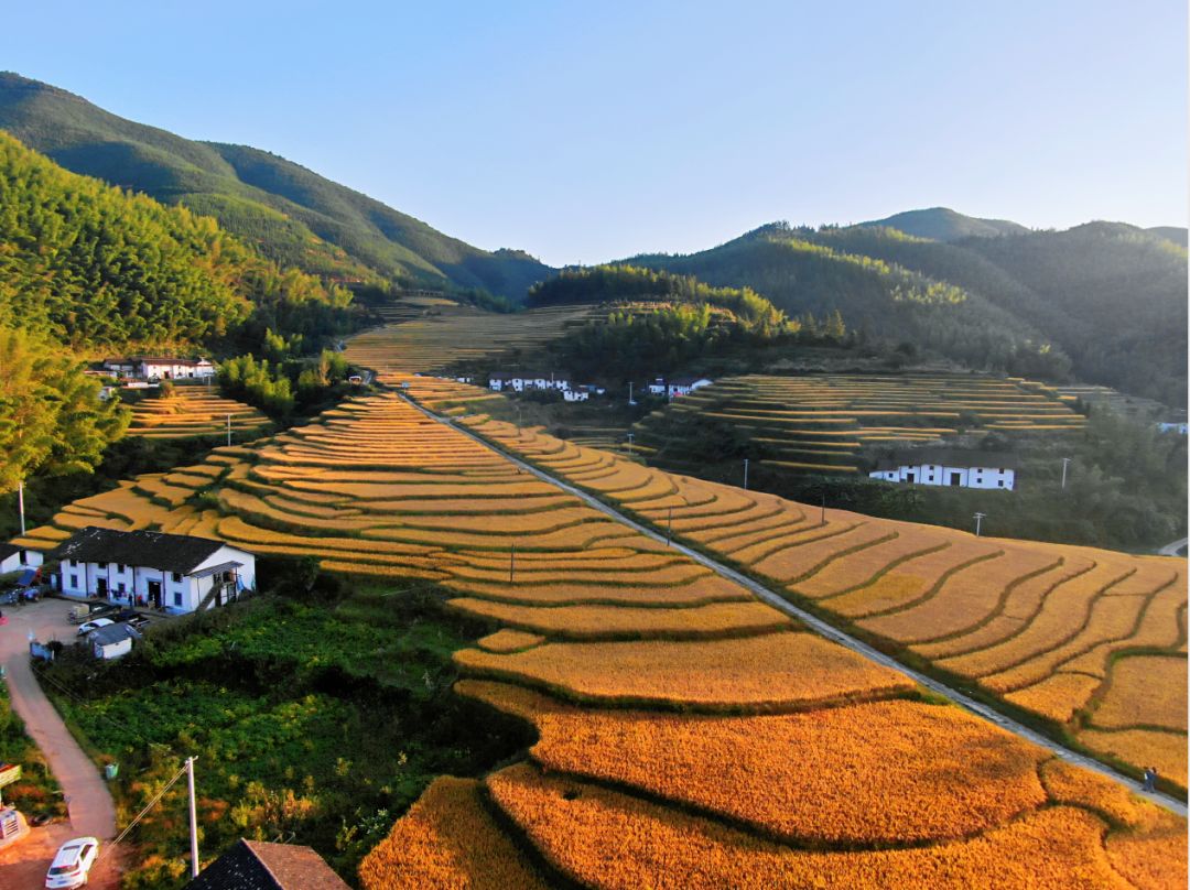 崇义县君子谷野果世界