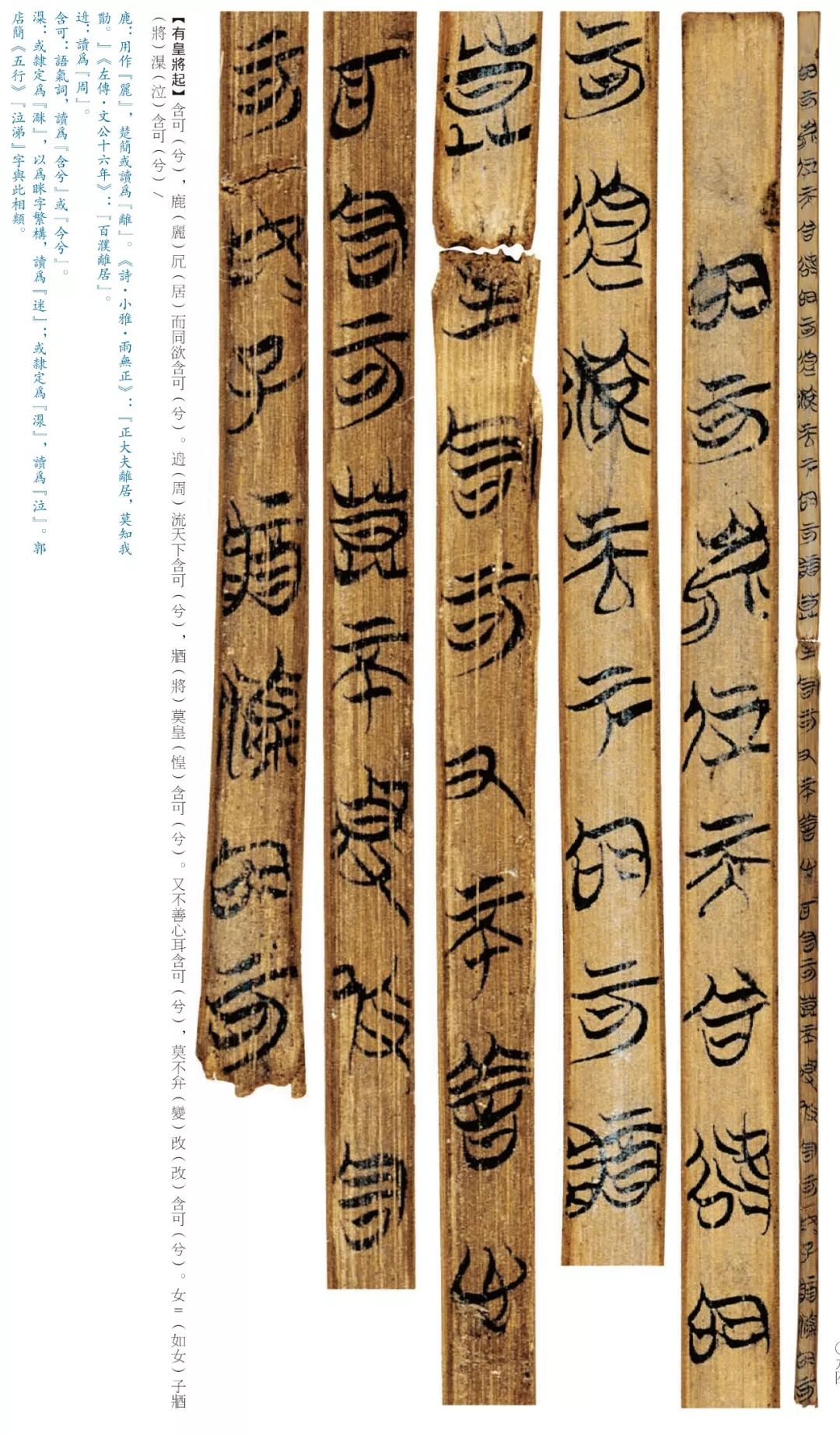 疫情期间有我陪伴书画社线上展览第二期楚简②上博简